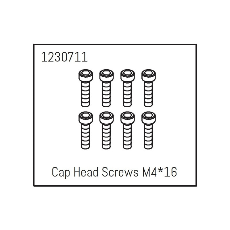 Cap Head Screws M4*16